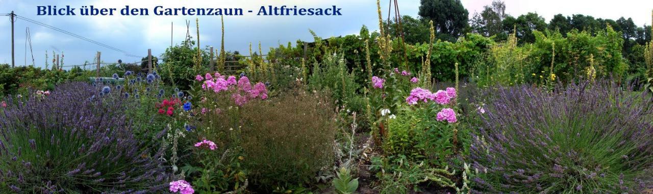 Kanucamp Altfriesack Bagian luar foto
